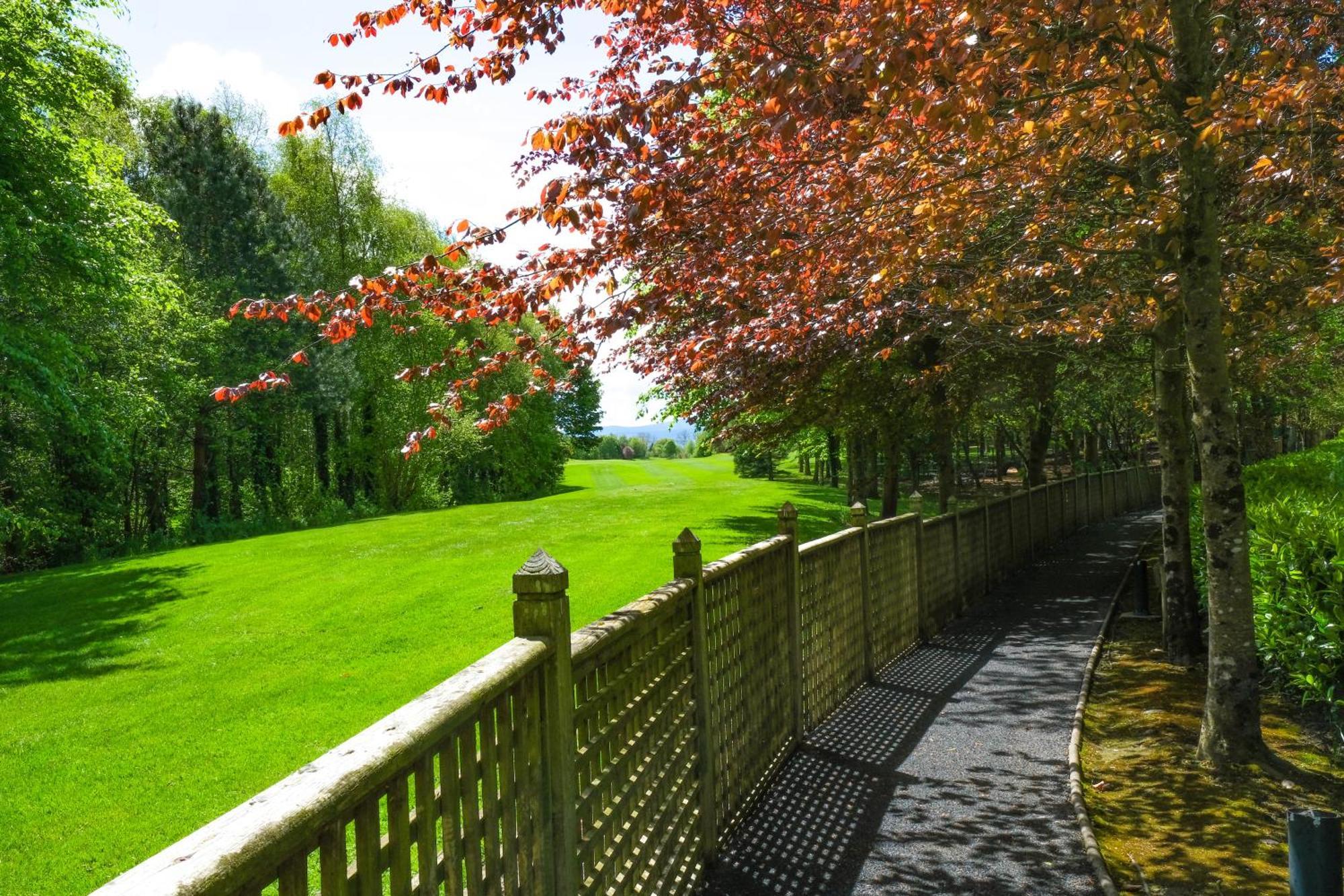 Mount Wolseley Hotel Spa & Golf Resort Tullow Exteriér fotografie