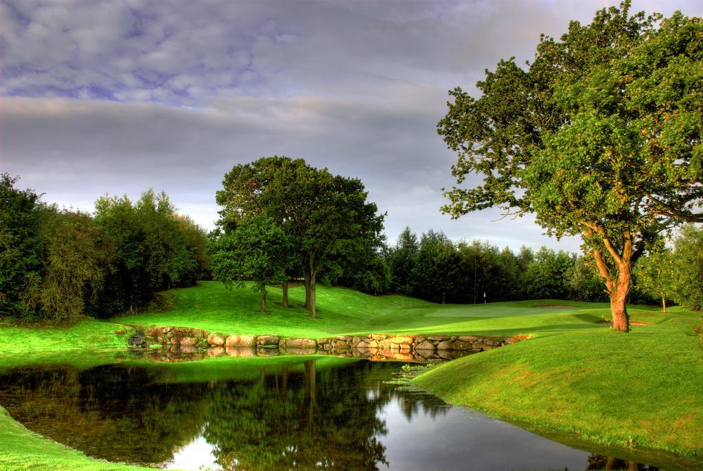 Mount Wolseley Hotel Spa & Golf Resort Tullow Exteriér fotografie